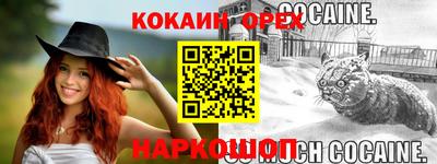 крисы Тара