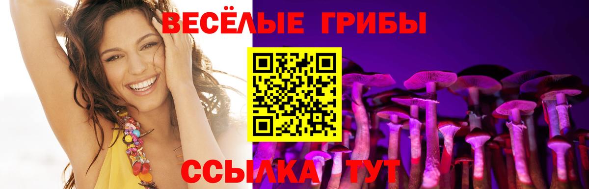 Галлюциногенные грибы прущие грибы  Вход с VPN  Ликино-Дулёво 